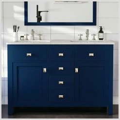 Hot Sale 🤩 Eviva LLC Totti Artemis 48" Blue Transitional Double Sink Bathroom Vanity 🔔