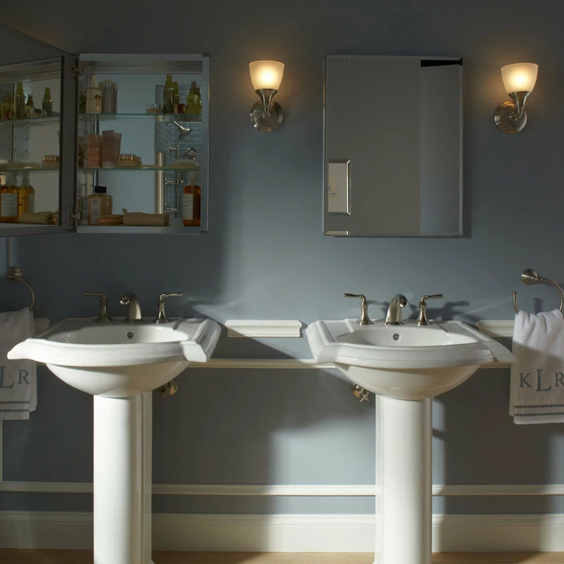 Cheapest ๐ Kohler K-CB-CLC2026FS 20" X 26" Single Door Reversible Hinge - Silver Aluminum โจ - Image 2